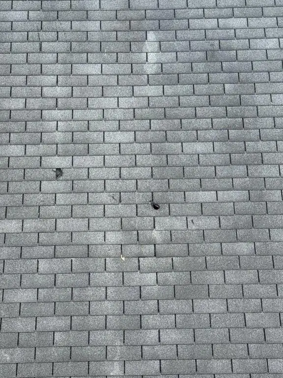Hail impacts on gray three-tab shingles documented during an inspection